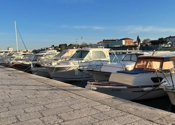 Captain's * זאדאר